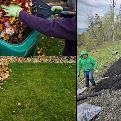 Mulching & Leaf Removal
