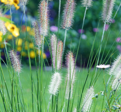 The Landscape Show 2016, London