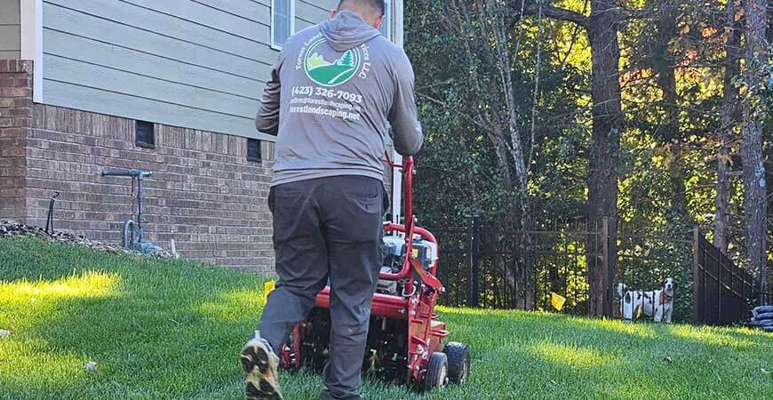 Aeration & Weeding