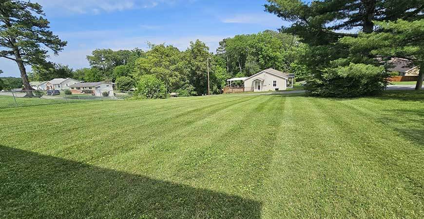 Grass Cutting