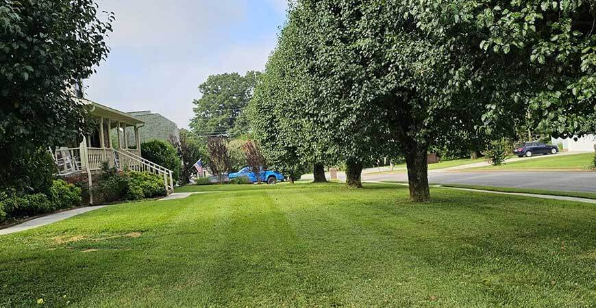 Grass-Cutting-&-Trimming-3