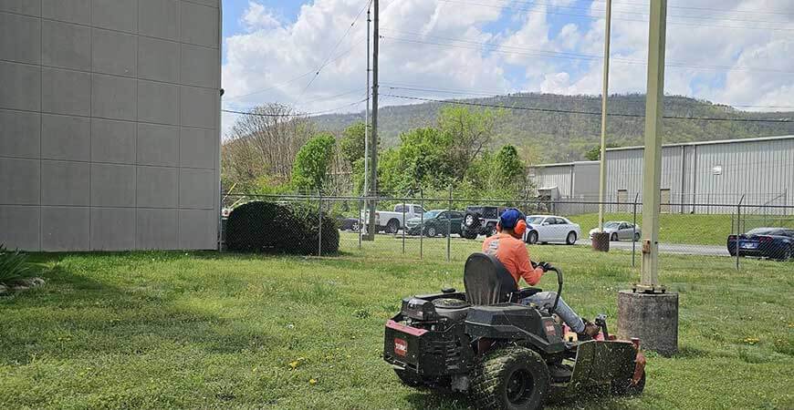 Grass Cutting