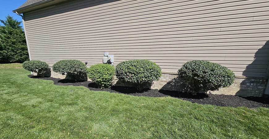 Trimming & Pruning