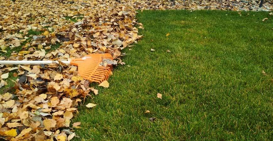 Mulching-&-Leaf-Removal-10