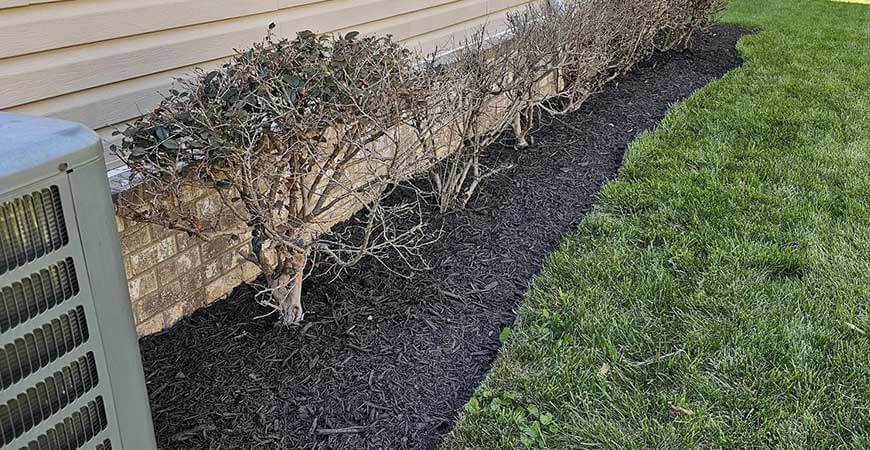 Mulching